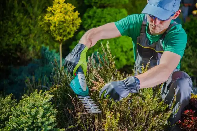 landscaping services Oneida Castle